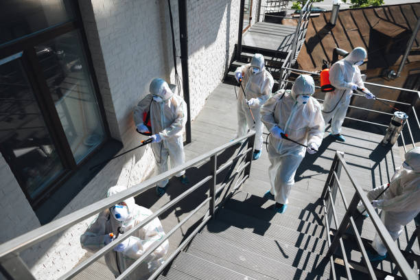 Best Airborne Mold Testing  in Kalona, IA
