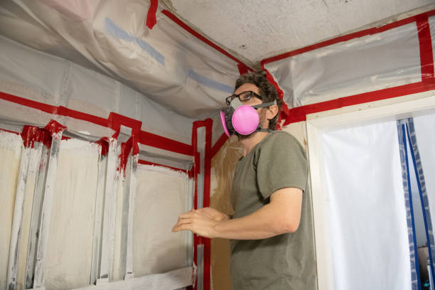 Best Mold Remediation for Healthcare Facilities  in Kalona, IA